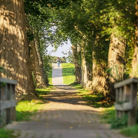 Duenenlounge - 5 Sterne Mit West-balkon Und Fantastischem Blick Ueber Den Deich Апартаменты Вустров