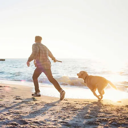 Апартаменты Duenenlounge - 5 Sterne Mit West-balkon Und Fantastischem Blick Ueber Den Deich